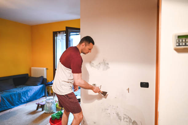 Best Mold Remediation  in Tioga, ND