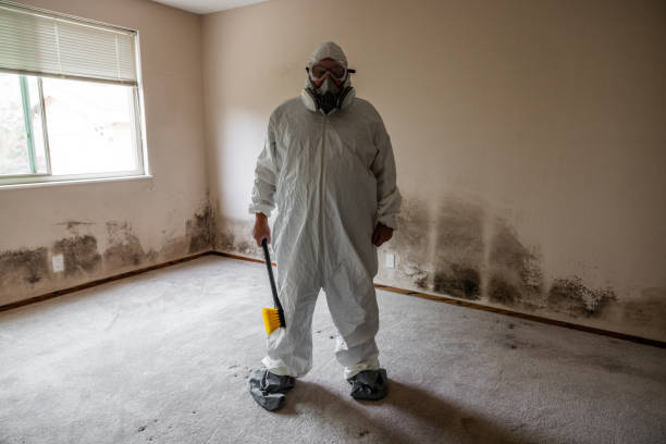 Best Mold Cleaning Services  in Tioga, ND